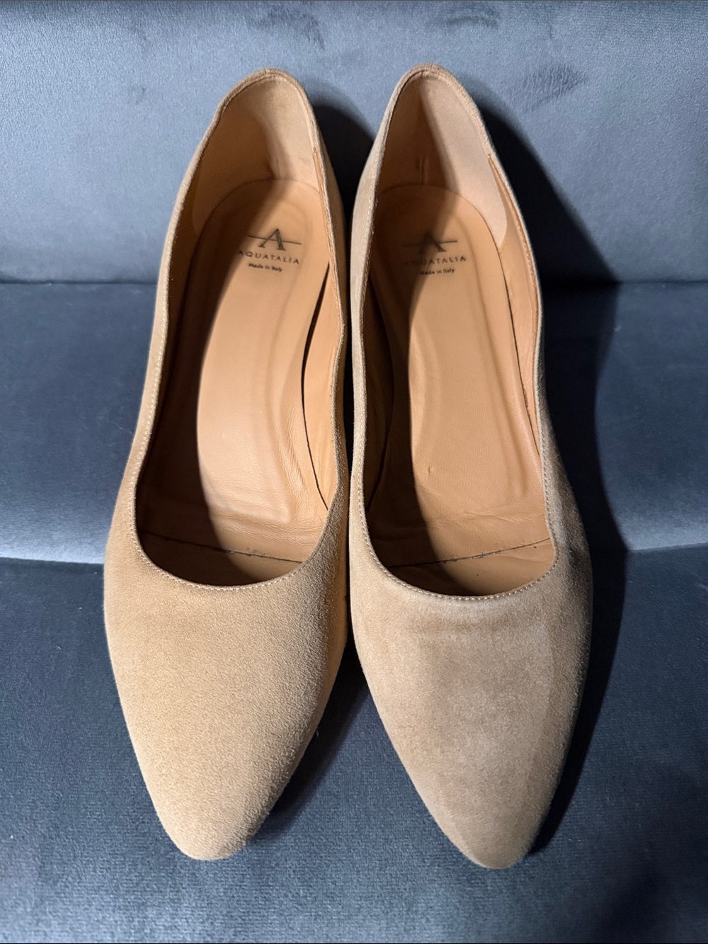 Aquatalia Beige Suede Pasha Pointed-Toe Pump size 9.5